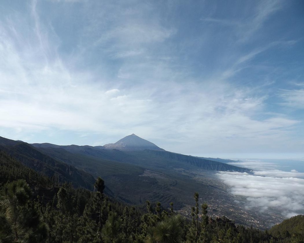 Teide Especial Cruceros