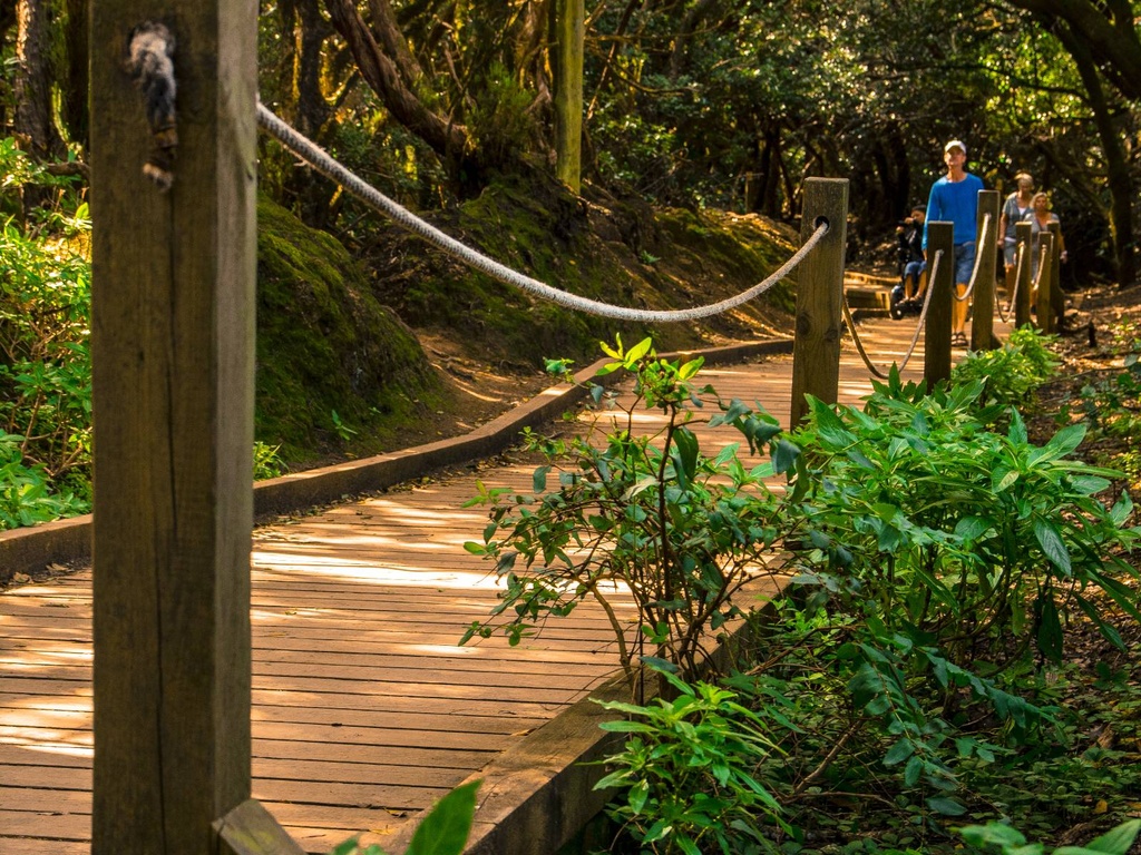 Anaga Biosphere Reserve