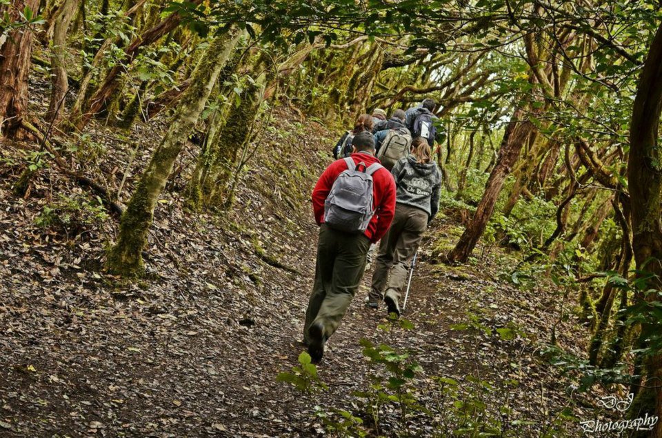 Hiking in Anaga